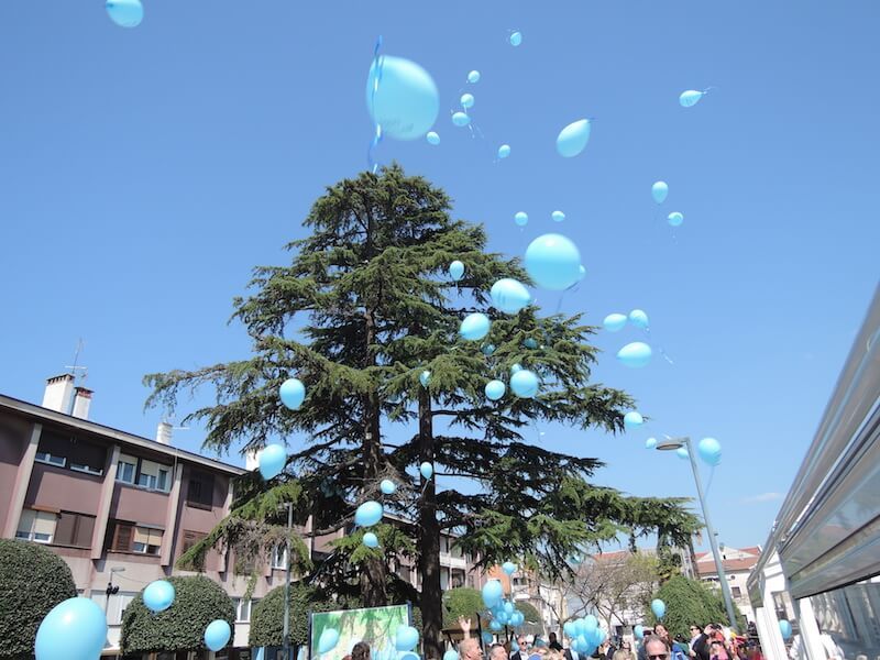 DSCN8822