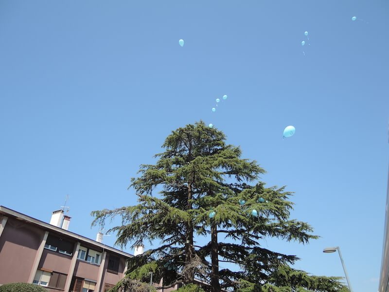 DSCN8826