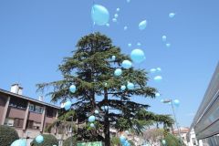 DSCN8822