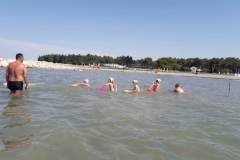image-0-02-04-3582c52378dbee6dd074e8f263dcd742e2420c60b931ea9bd52b4e16134881f2-V